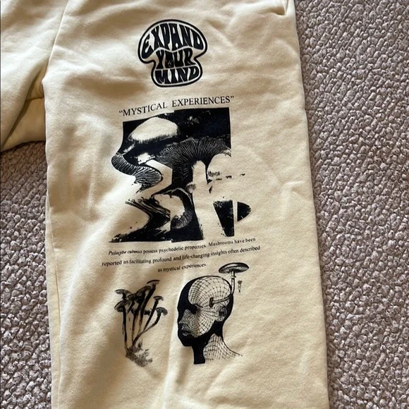 Aritzia TNA Mega Fleece Sweatpants - Picture 5 of 5